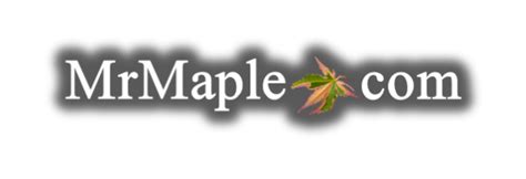 mrmaple reviews|How to Review MrMaple.com — Mr Maple │ Buy。